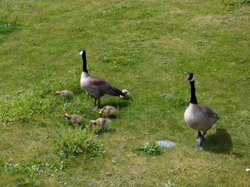 Máy ảnh Fujifilm FinePix XP140 (Yellow) Chính Hãng