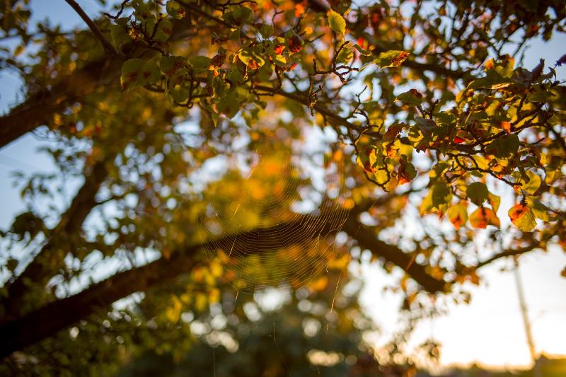Máy ảnh Leica M10-D | Chính hãng Máy ảnh Leica M10-D | Chính hãng