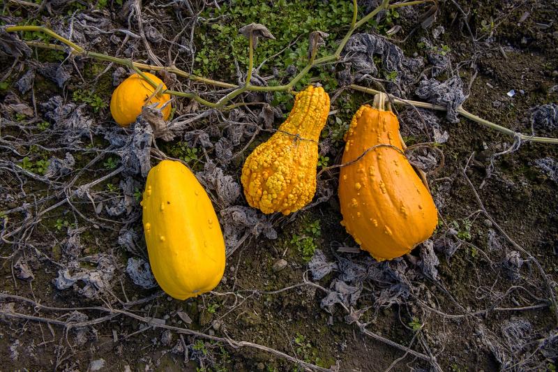 Máy ảnh Leica M10-D | Chính hãng Máy ảnh Leica M10-D | Chính hãng