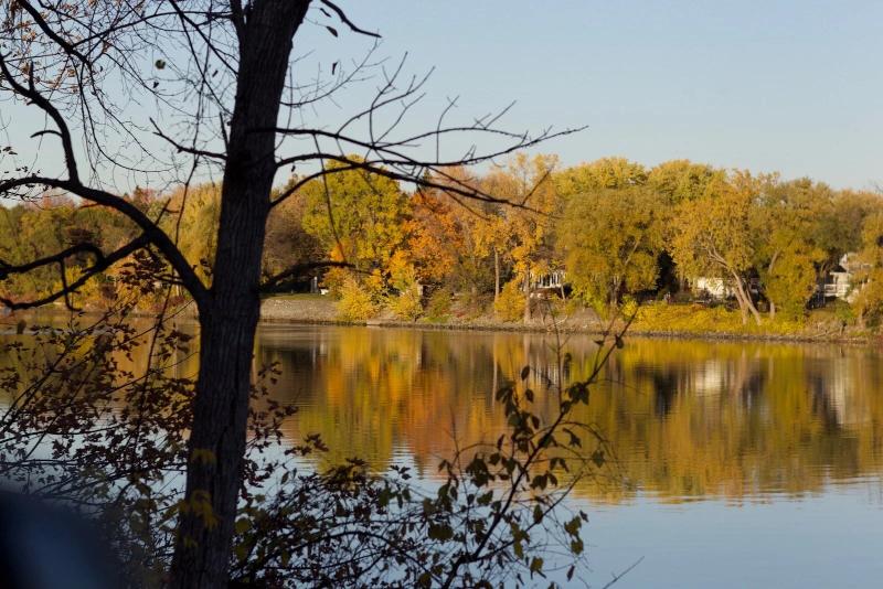 MÁY ẢNH CANON EOS 1D MARK IV