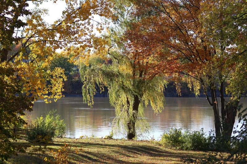 MÁY ẢNH CANON EOS 1D MARK IV