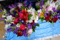 Máy ảnh Fujifilm X-A3