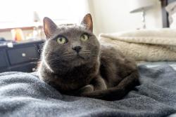 Máy ảnh Fujifilm X-A3