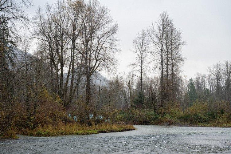 Máy ảnh Nikon Z6 II NHẬP KHẨU