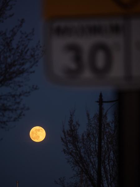 Máy ảnh OM SYSTEM OM-D E-M10 Mark IV (Body Only)