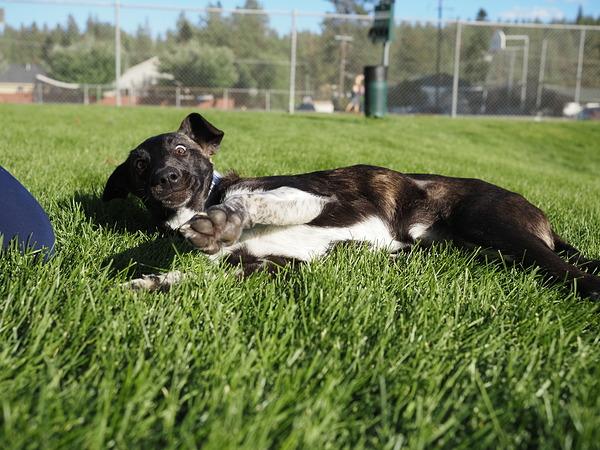 Máy ảnh OM SYSTEM OM-5 Mark II Body Sand Beige