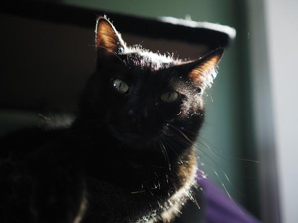 Máy ảnh OM SYSTEM OM-5 Mark II kèm 14-150mm Kit (Silver)