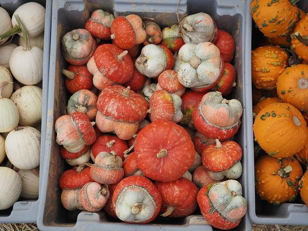 Máy ảnh OM SYSTEM OM-5 Mark II kèm 14-150mm Kit (Silver)