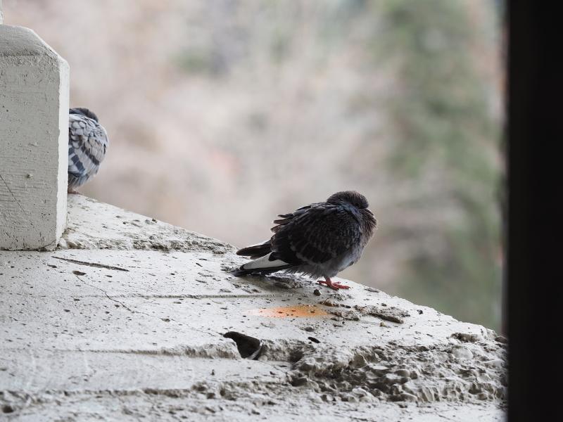 Máy ảnh OM-D E-M10 Mark IV 14-42mm EZ Kit Black