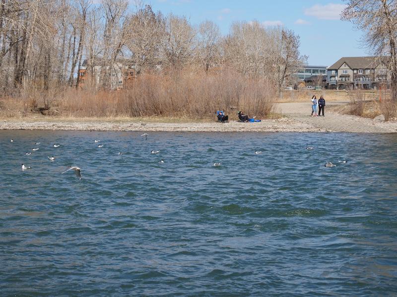 Máy ảnh OM-D E-M10 Mark IV 14-42mm EZ Kit Black